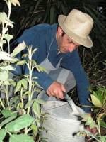 /album/souvenirs-/pict4695-jpg1/